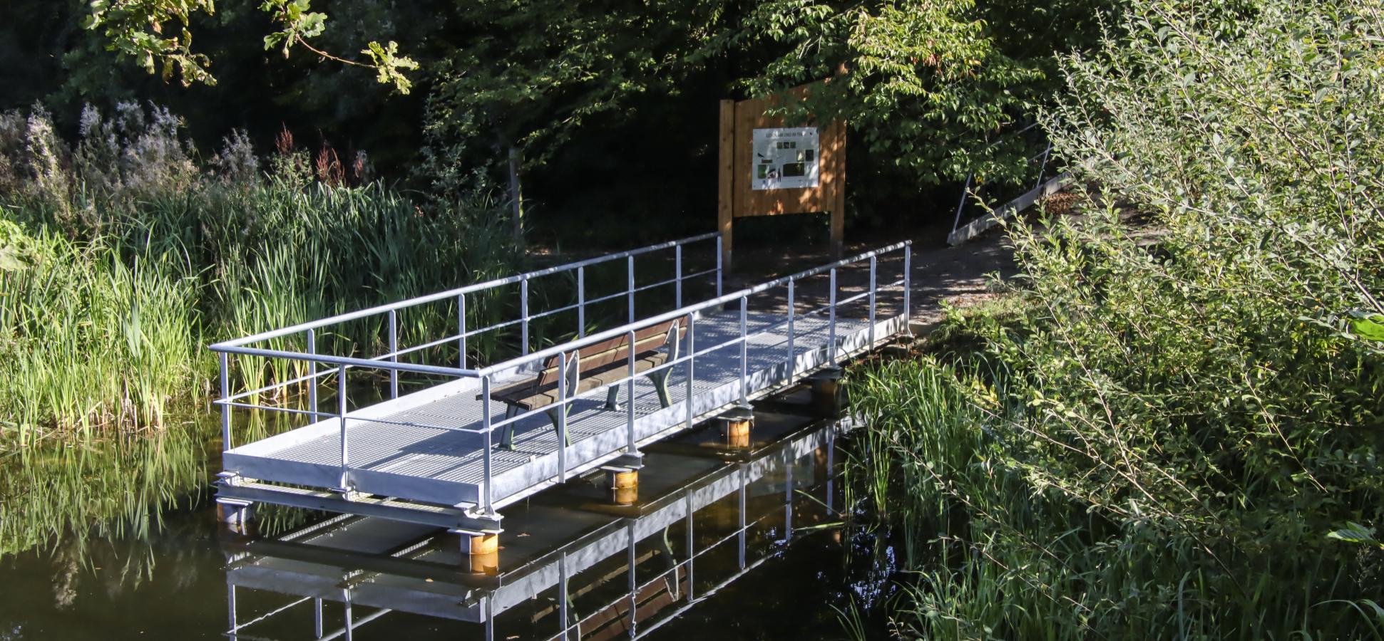 Am Teich lassen sich wunderbar Wasserprobe nehmen und Gewässertiere fangen.