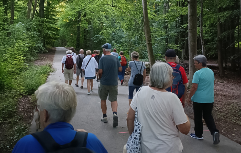 Abendwanderung durchs NSG Bolmke