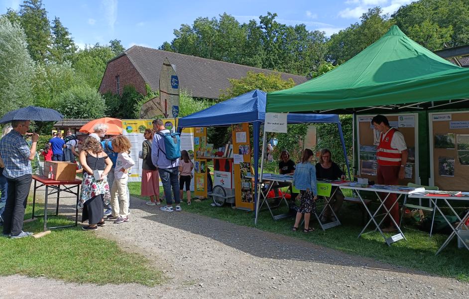 Strahlender Sonnenschein auf dem NaturGut-Sommer