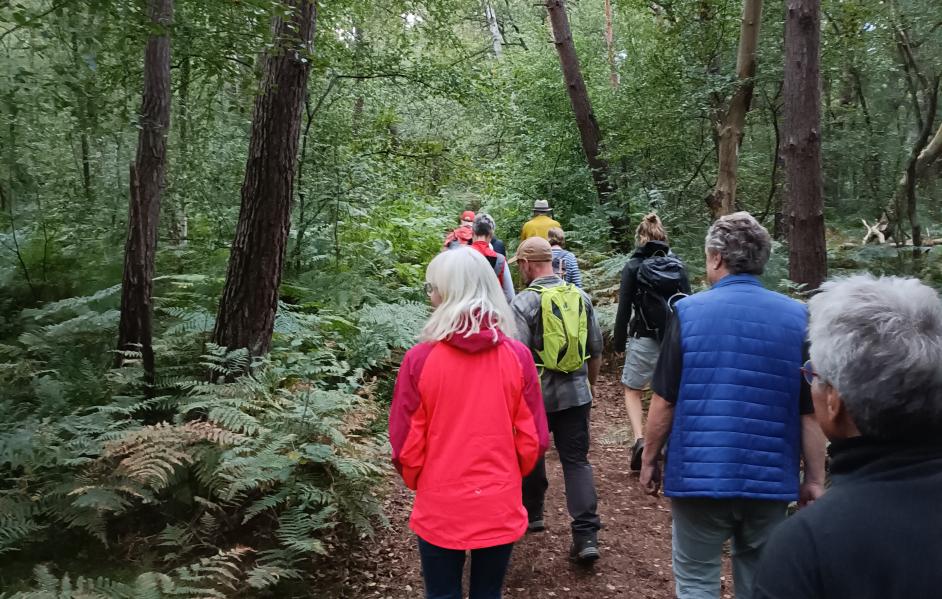Wandern durch das NSG Venner Moor