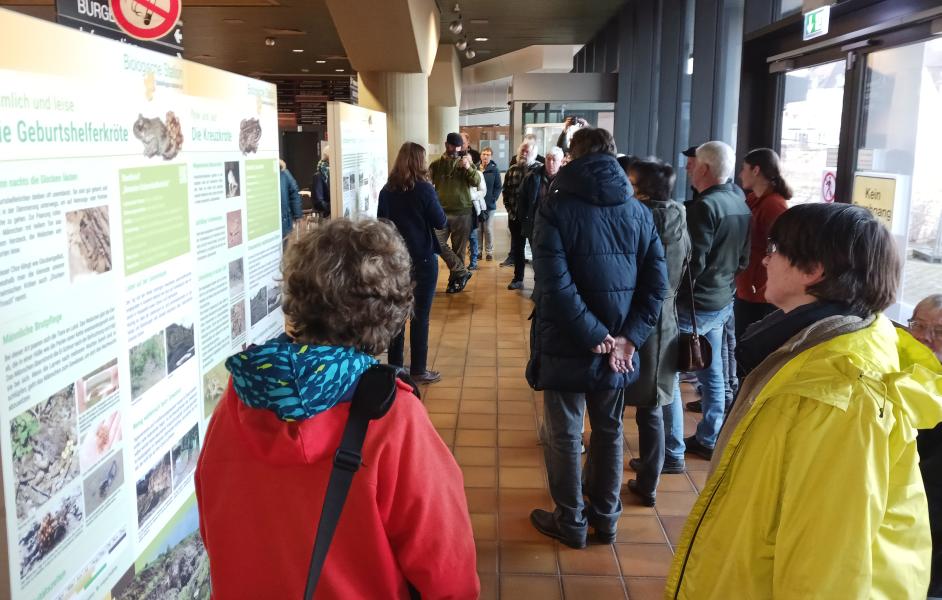 Doppelausstellung Amphibienschutz
