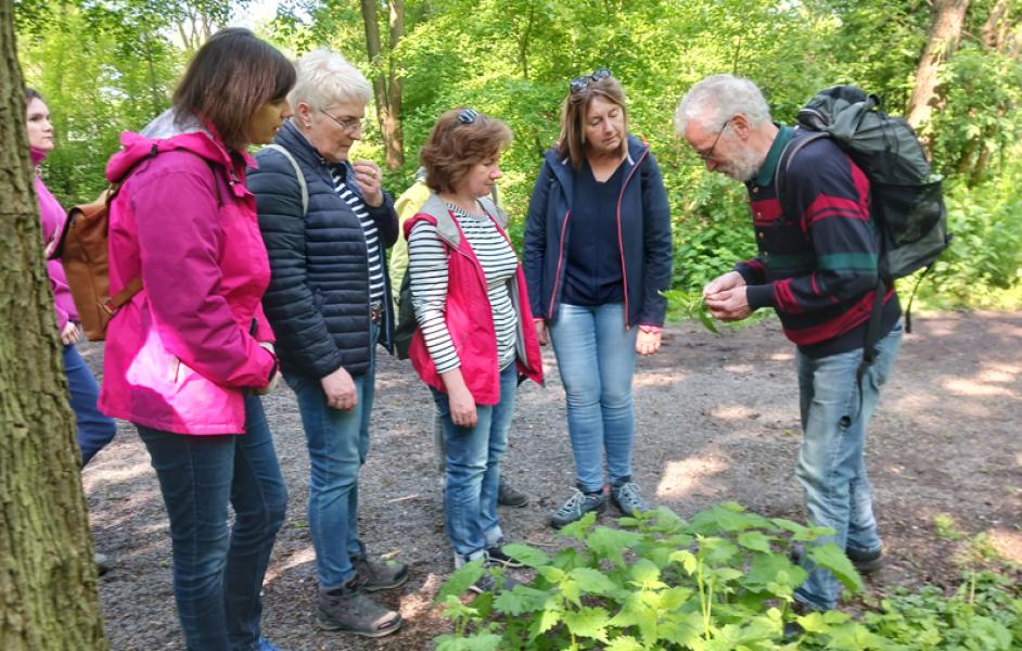 Wildkräuterwanderung