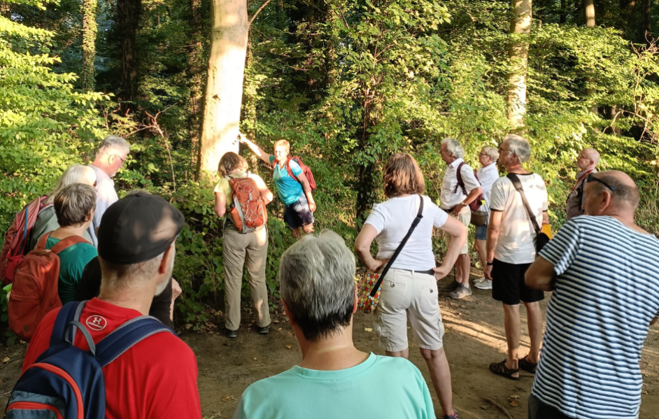 Abendwanderung durchs NSG Bolmke