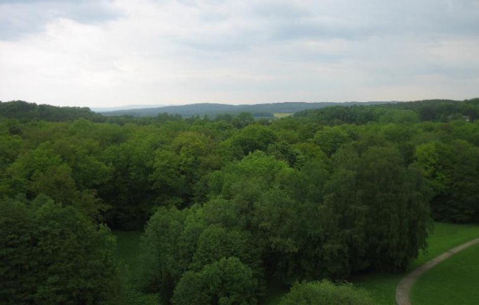Blick über das Eggegebirge