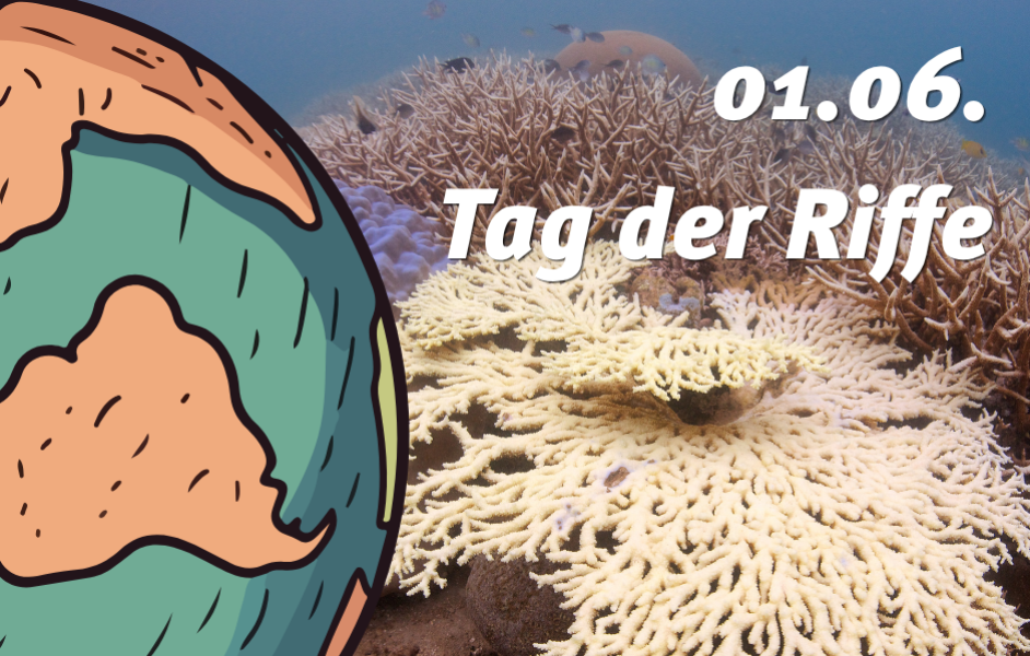 Welttag der Riffe am 01.06.2026