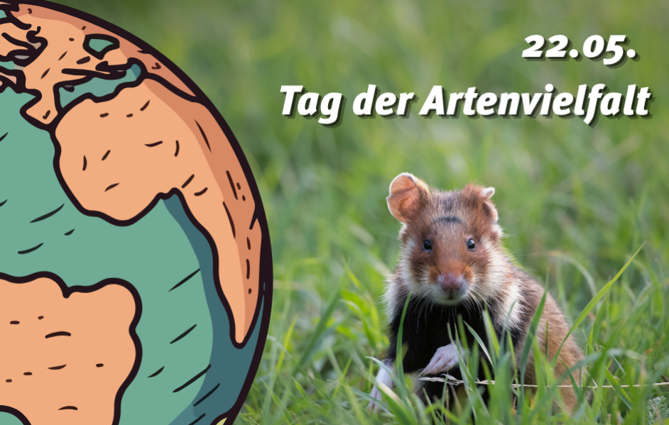 22.05.2026 Tag der Artenvielfalt