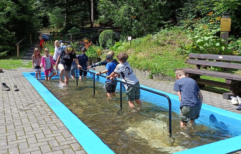 Kinder waten durch das Kneippbecken