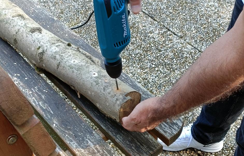 Das Eschenholz wird angebohrt mit verschieden großen Holzbohrern