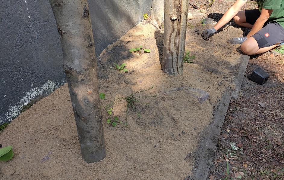 Das neue Sandarium mit Wildbienen-Nisthilfen