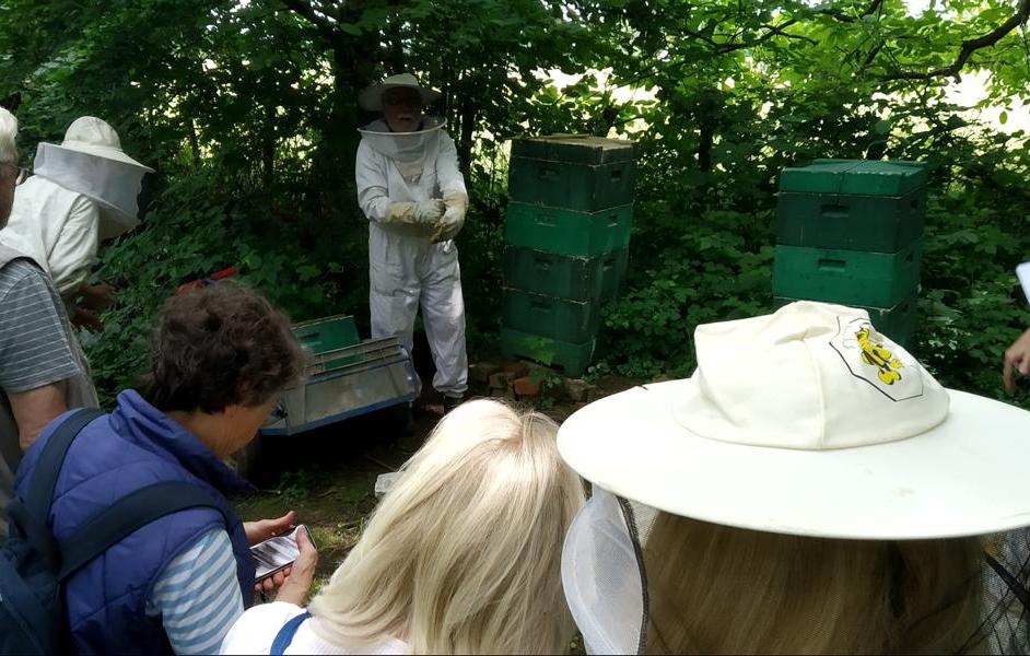 Imker Carli an den Bienenstöcken