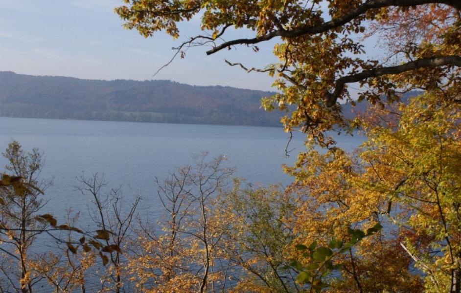 Am Laacher See