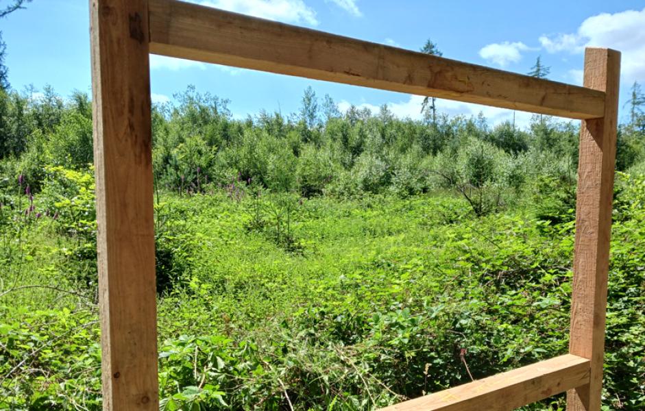 Das Naturfenster auf dem Waldlehrpfad Eschweiler