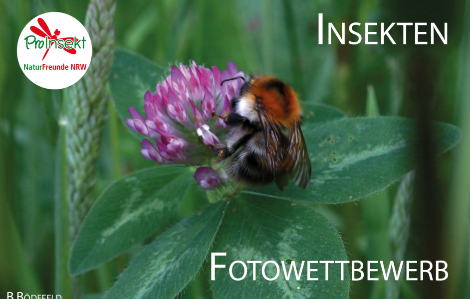 Fotowettbewerb