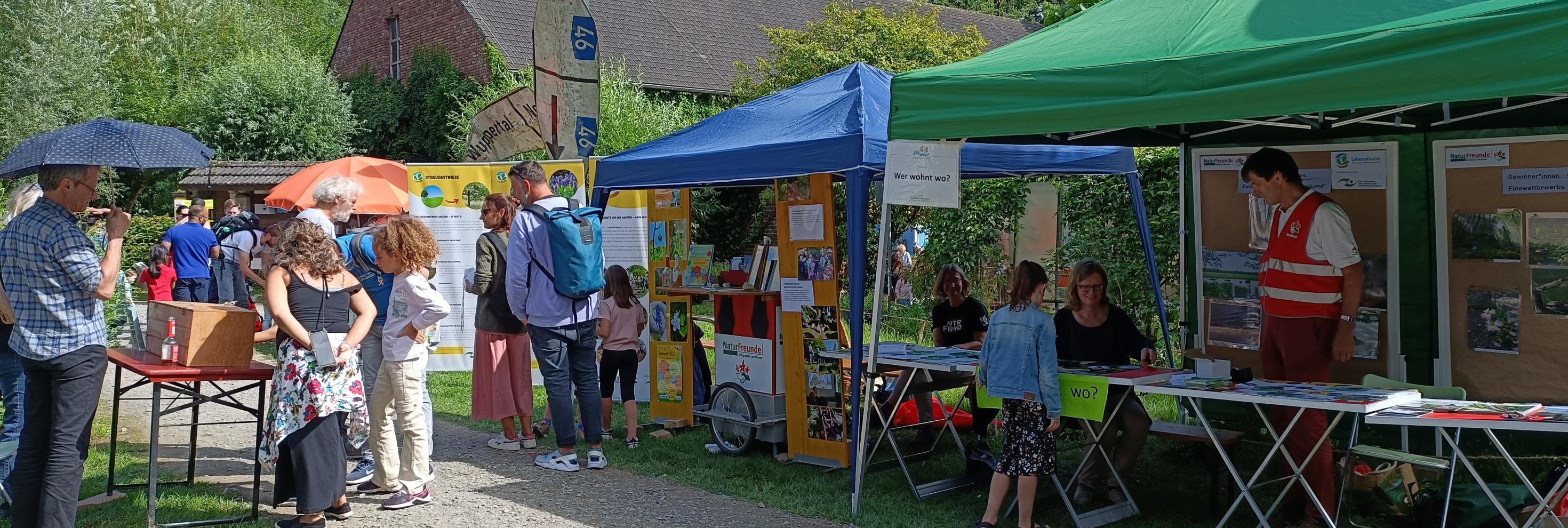 Strahlender Sonnenschein auf dem NaturGut-Sommer