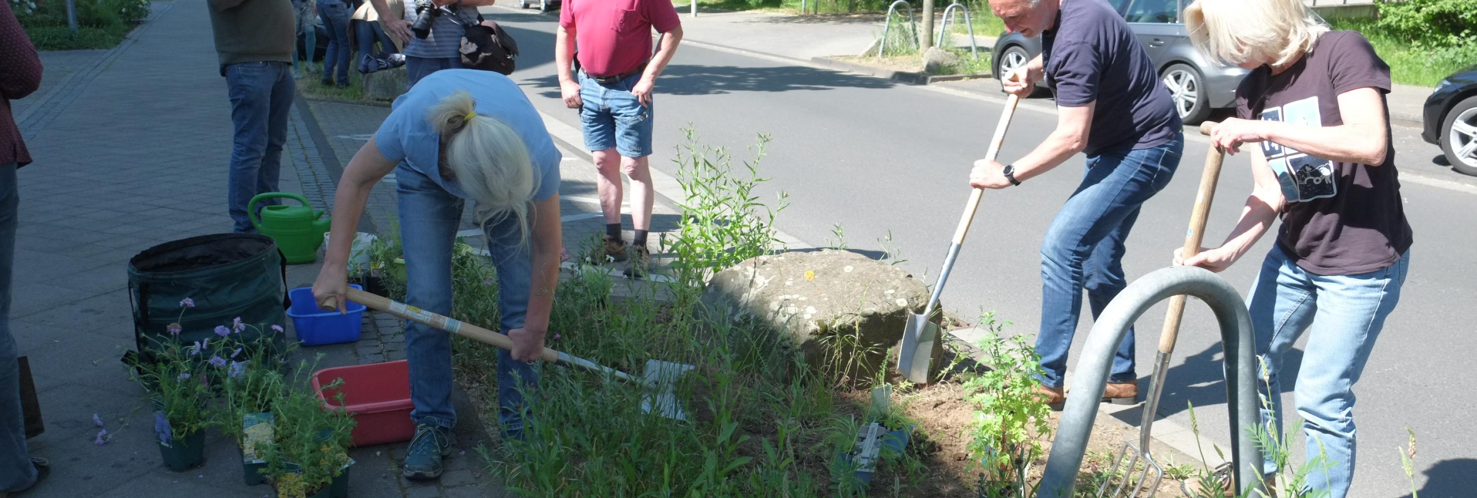 NaturFreunde Bonn in Aktion