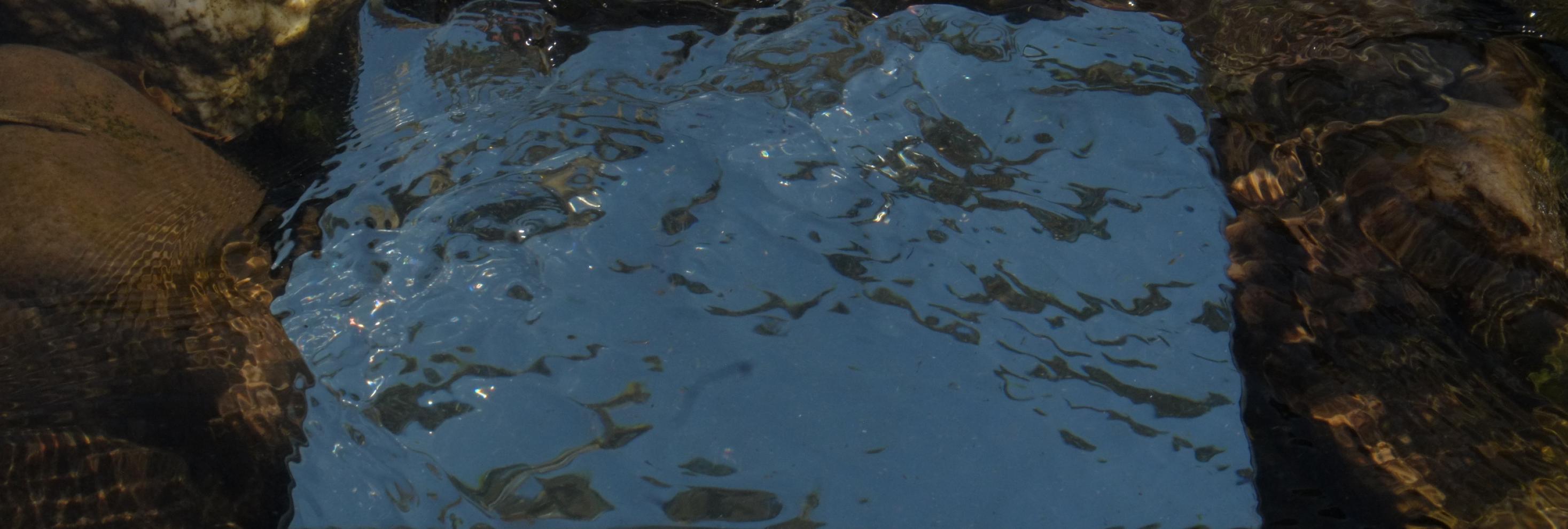 Die Strukturen des Wassers