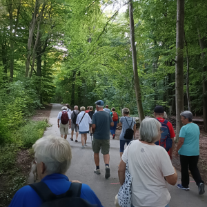 Abendwanderung durchs NSG Bolmke