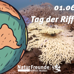 Welttag der Riffe am 01.06.2026