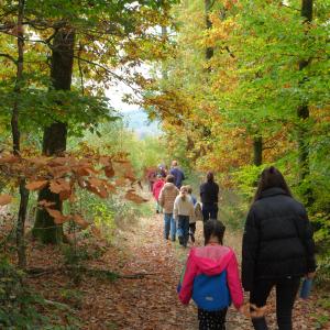 NahTour-Wanderung mit Familien in den Herbstferien