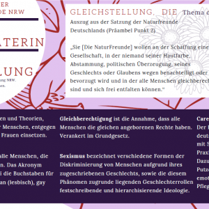 Stärkenberatung - Demokratieförderung praktisch und direkt. Aber was  bedeutet das eigentlich?