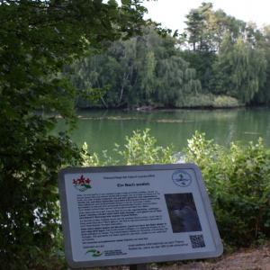 Informationstafel 3: “Ein Bach erzählt”: Eingriff der Menschen in die Natur