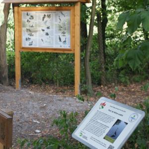 Informationstafel 8: “Rudi, der Reiher erzählt”: Die Reiher-Kolonie am Dreiecksweiher